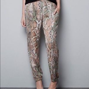 Zara Trafaluc Pants